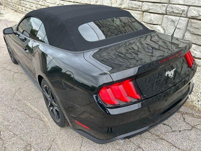 used 2023 Ford Mustang car