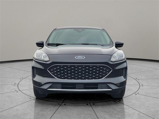 used 2020 Ford Escape car, priced at $19,888