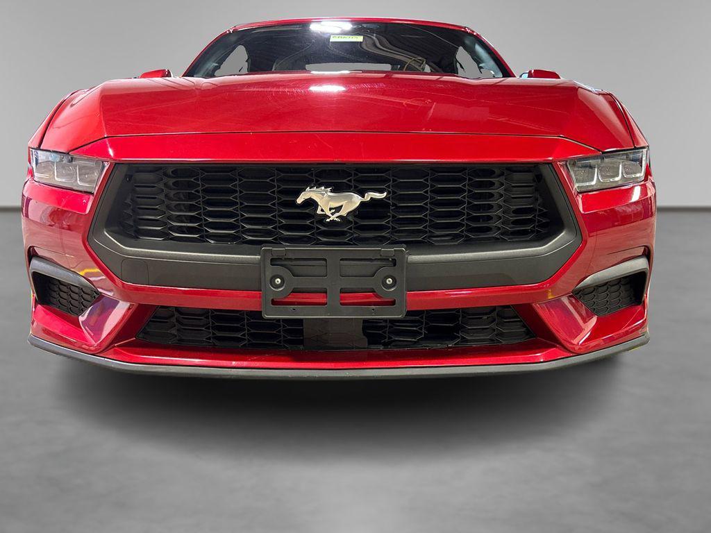 used 2024 Ford Mustang car, priced at $30,500