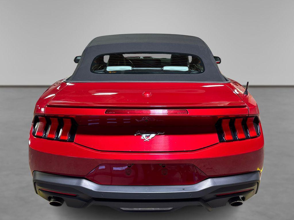 used 2024 Ford Mustang car, priced at $30,500