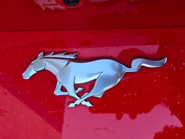 used 2024 Ford Mustang car, priced at $28,298