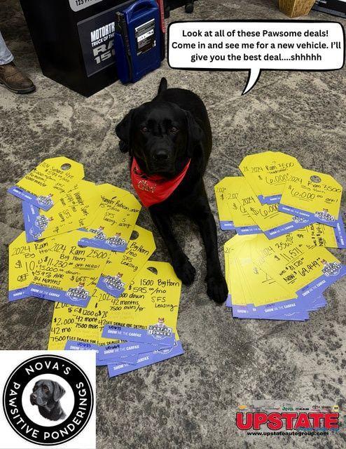 new 2026 Jeep Gladiator car, priced at $50,560