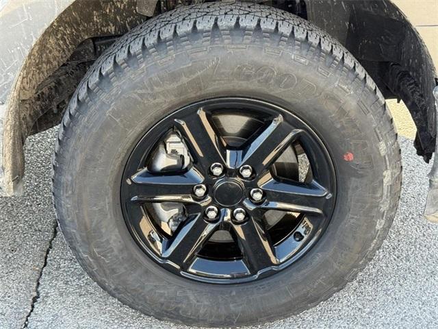 used 2025 Ford F-150 car, priced at $46,500