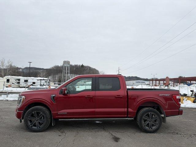 used 2023 Ford F-150 car, priced at $46,550