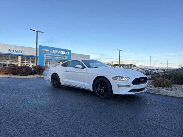 used 2019 Ford Mustang car, priced at $18,995