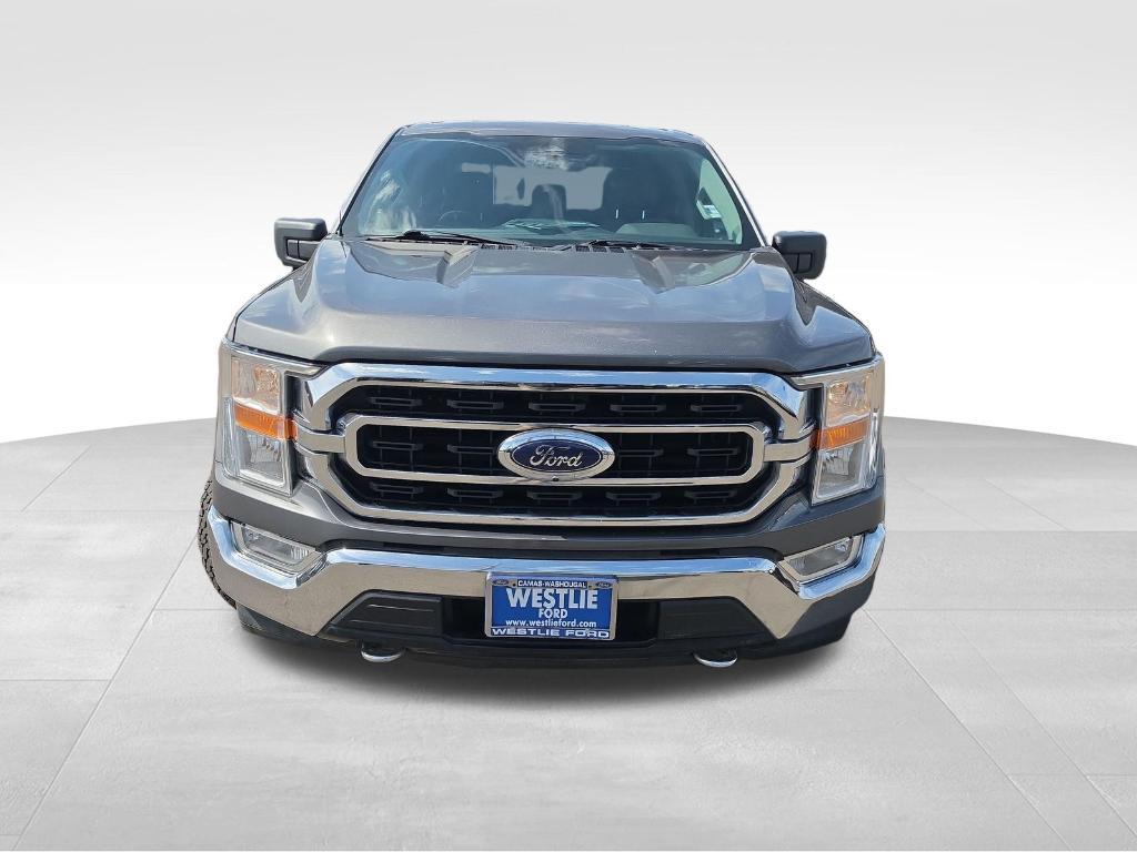 used 2021 Ford F-150 car, priced at $31,071