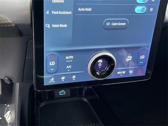 used 2021 Ford Mustang Mach-E car, priced at $22,000