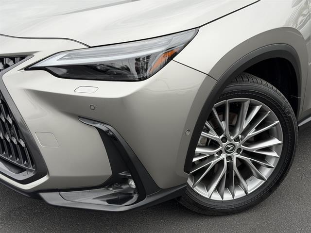 used 2025 Lexus NX 350h car, priced at $53,780