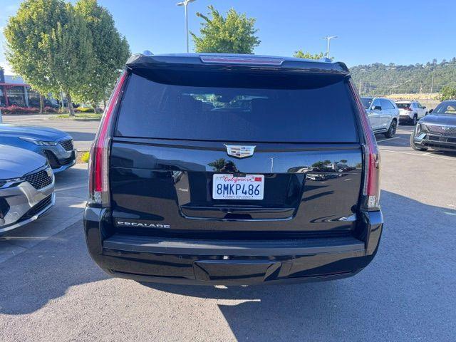 used 2019 Cadillac Escalade car, priced at $32,000