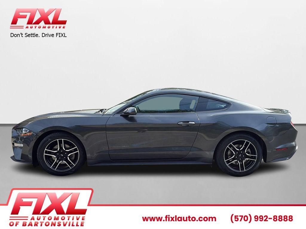 used 2019 Ford Mustang car, priced at $17,499