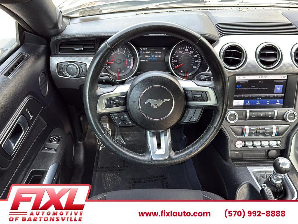 used 2019 Ford Mustang car, priced at $17,499