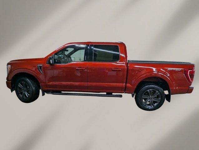 used 2023 Ford F-150 car, priced at $41,980