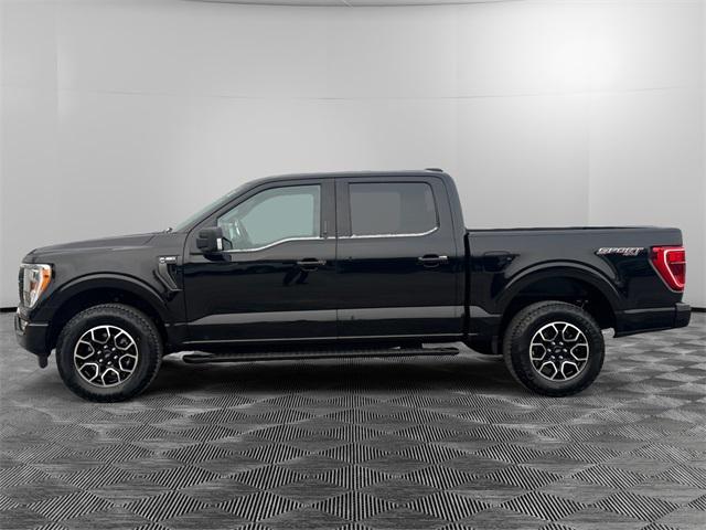 used 2023 Ford F-150 car, priced at $39,952
