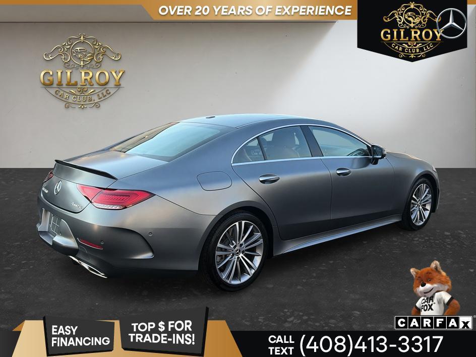 Mercedes-Benz CLS view 19