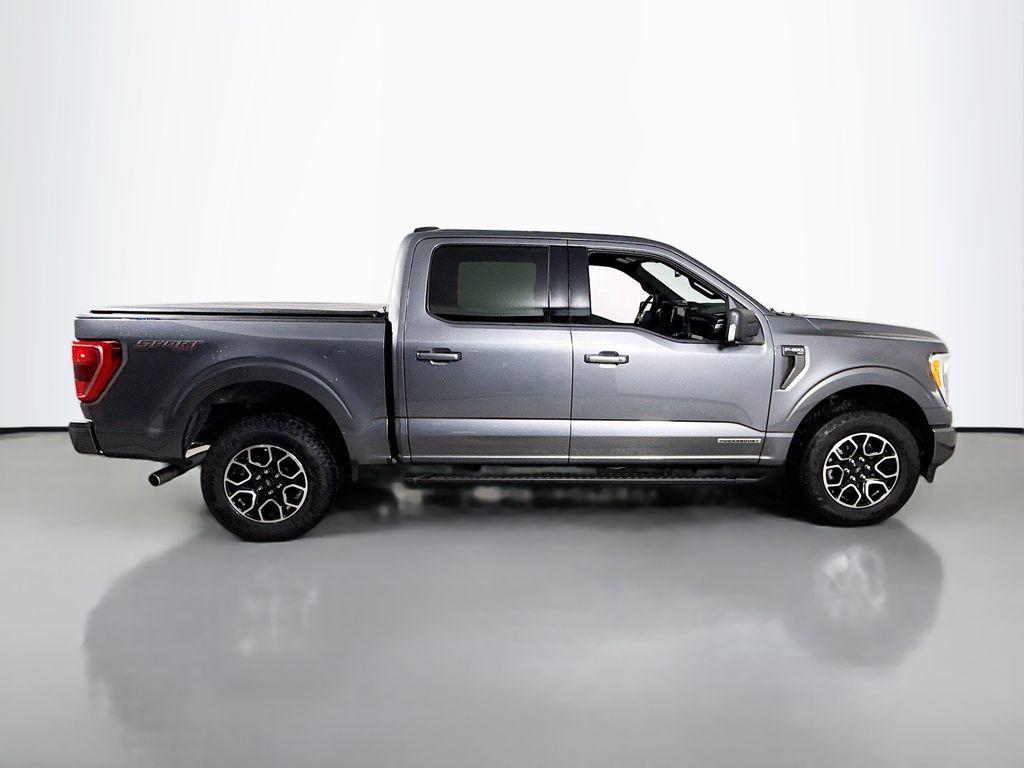 used 2023 Ford F-150 car, priced at $45,250