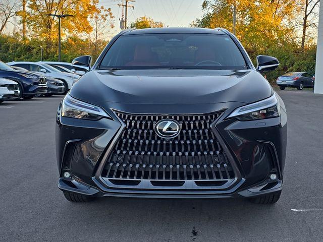 used 2024 Lexus NX 350h car