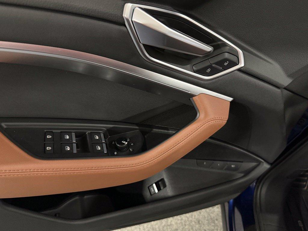 Audi e-tron view 21