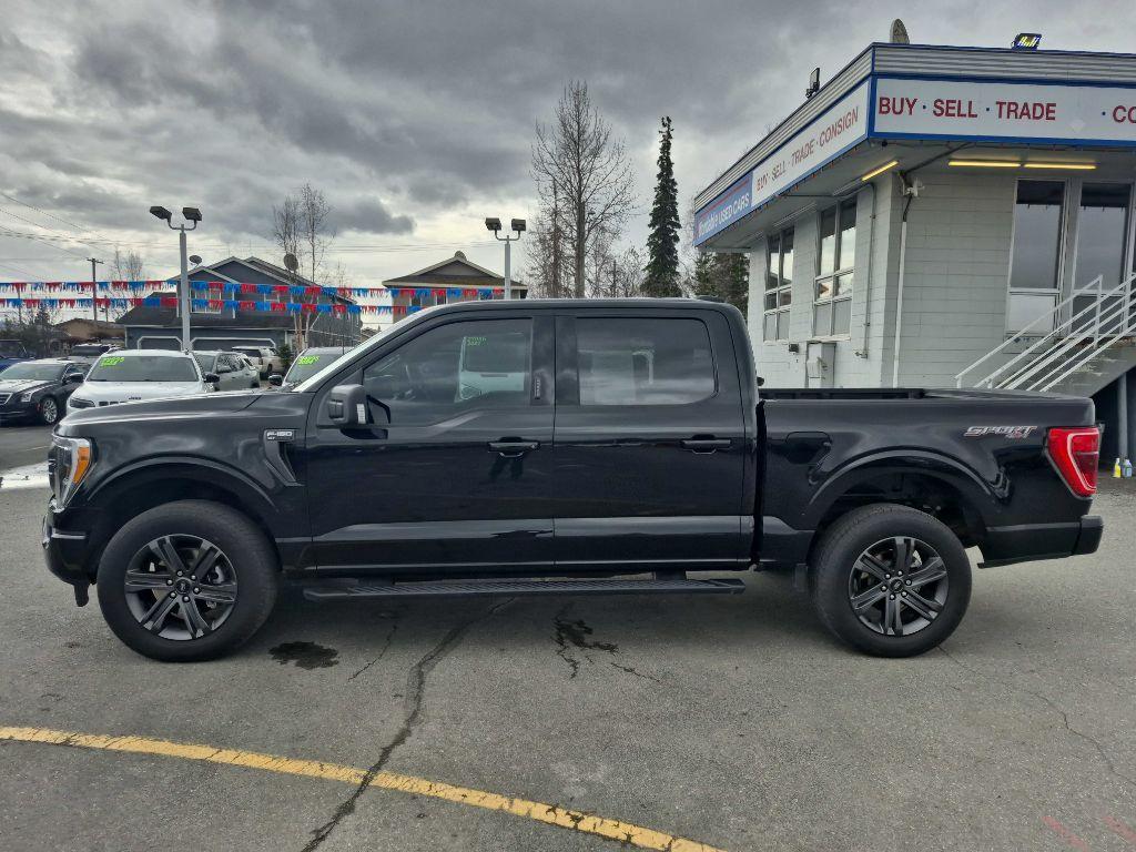 used 2023 Ford F-150 car, priced at $45,995