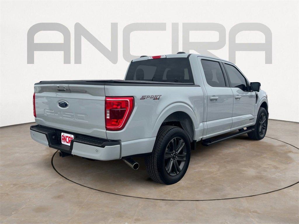 used 2023 Ford F-150 car, priced at $40,500