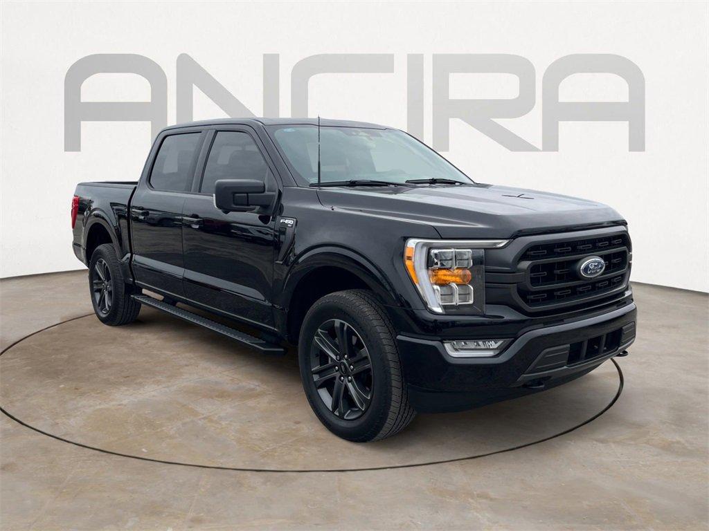 used 2023 Ford F-150 car, priced at $41,500