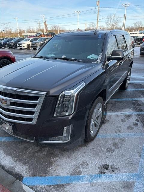 used 2015 Cadillac Escalade car, priced at $24,999
