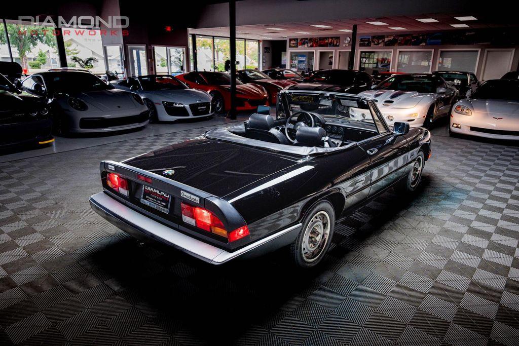 used 1986 Alfa Romeo Spider car, priced at $14,800