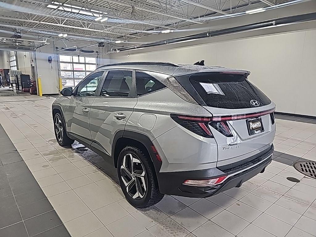 used 2023 Hyundai Tucson car, priced at $23,999