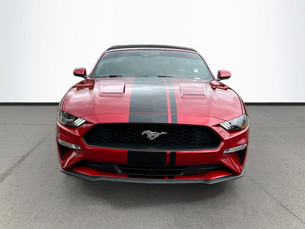 used 2020 Ford Mustang car, priced at $21,991