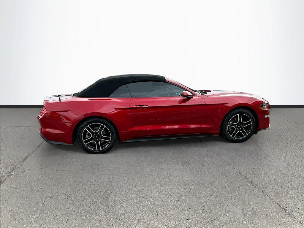 used 2020 Ford Mustang car, priced at $21,991