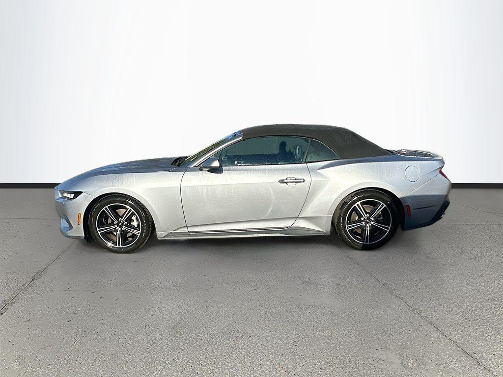 used 2024 Ford Mustang car, priced at $25,891