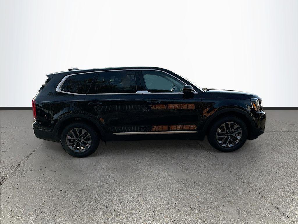 used 2025 Kia Telluride car, priced at $33,551