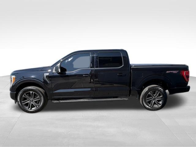 used 2023 Ford F-150 car, priced at $42,674