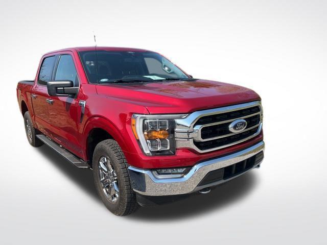 used 2021 Ford F-150 car, priced at $35,900