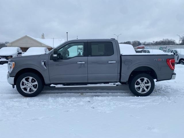 used 2022 Ford F-150 car