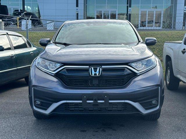 used 2024 Honda CR-V car