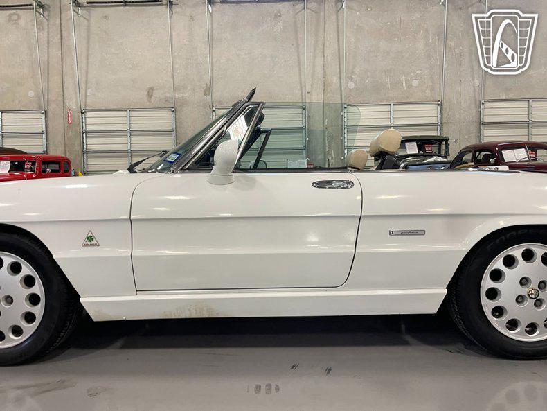 used 1991 Alfa Romeo Spider car, priced at $12,000