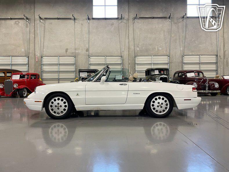 used 1991 Alfa Romeo Spider car, priced at $12,000
