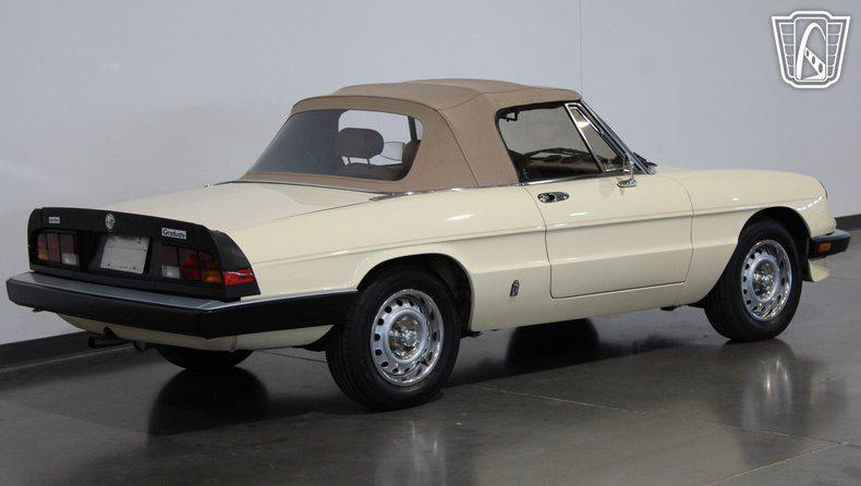 used 1985 Alfa Romeo Spider car, priced at $22,000