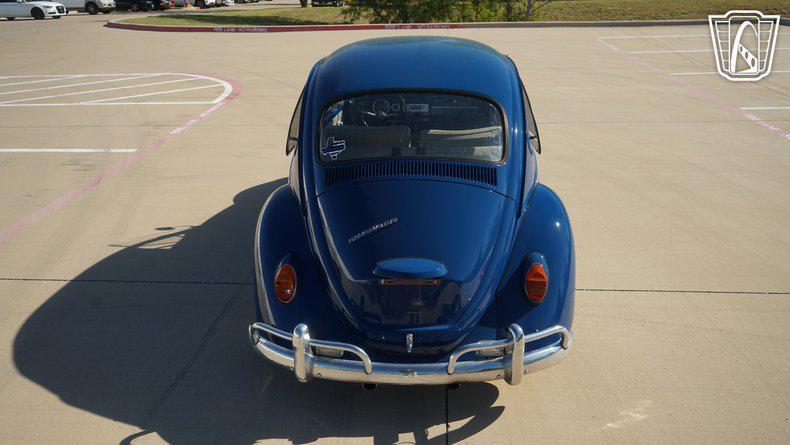 used 1967 Volkswagen Beetle (Pre-1980) car, priced at $18,000