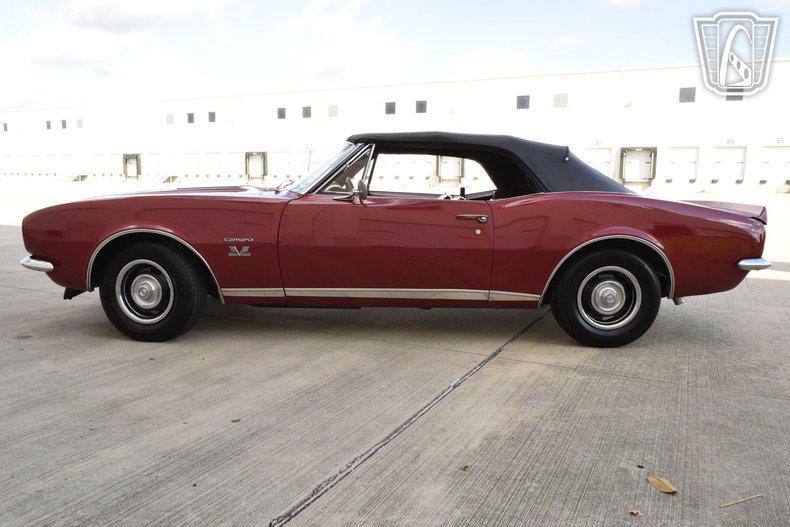 used 1967 Chevrolet Camaro car, priced at $51,000