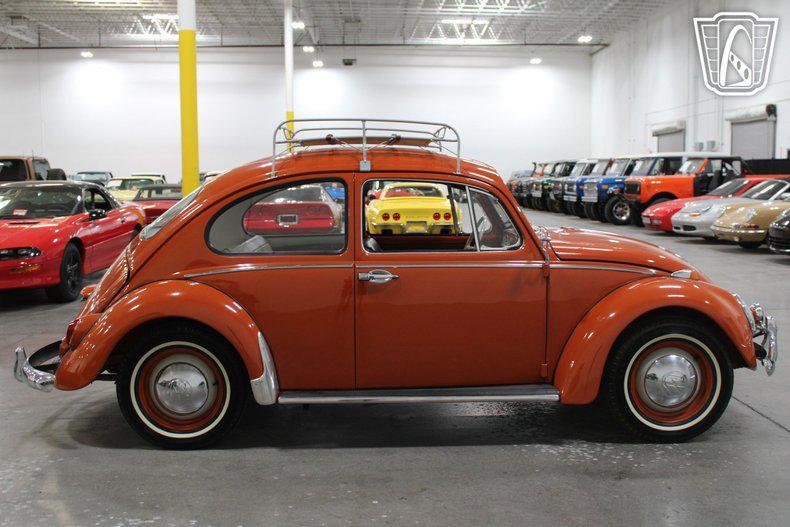 used 1965 Volkswagen Beetle (Pre-1980) car, priced at $20,500