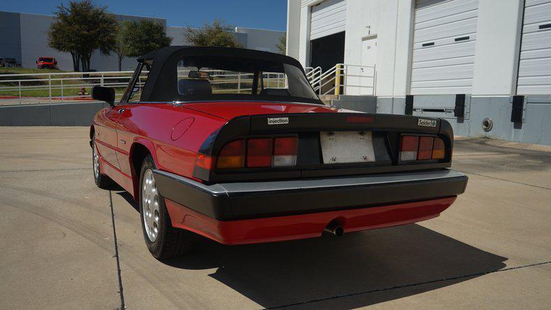 used 1986 Alfa Romeo Spider car, priced at $20,000