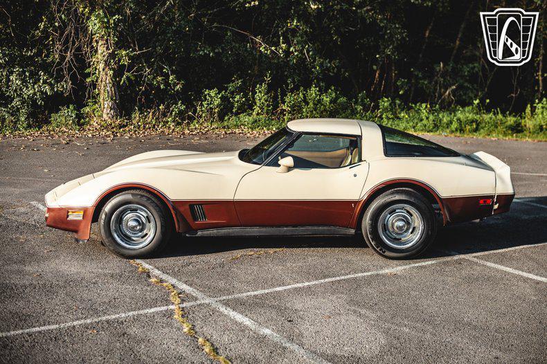 used 1981 Chevrolet Corvette car, priced at $15,500