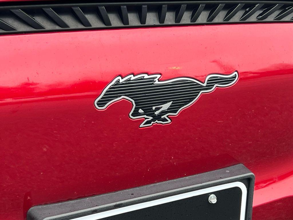 used 2021 Ford Mustang Mach-E car, priced at $19,995