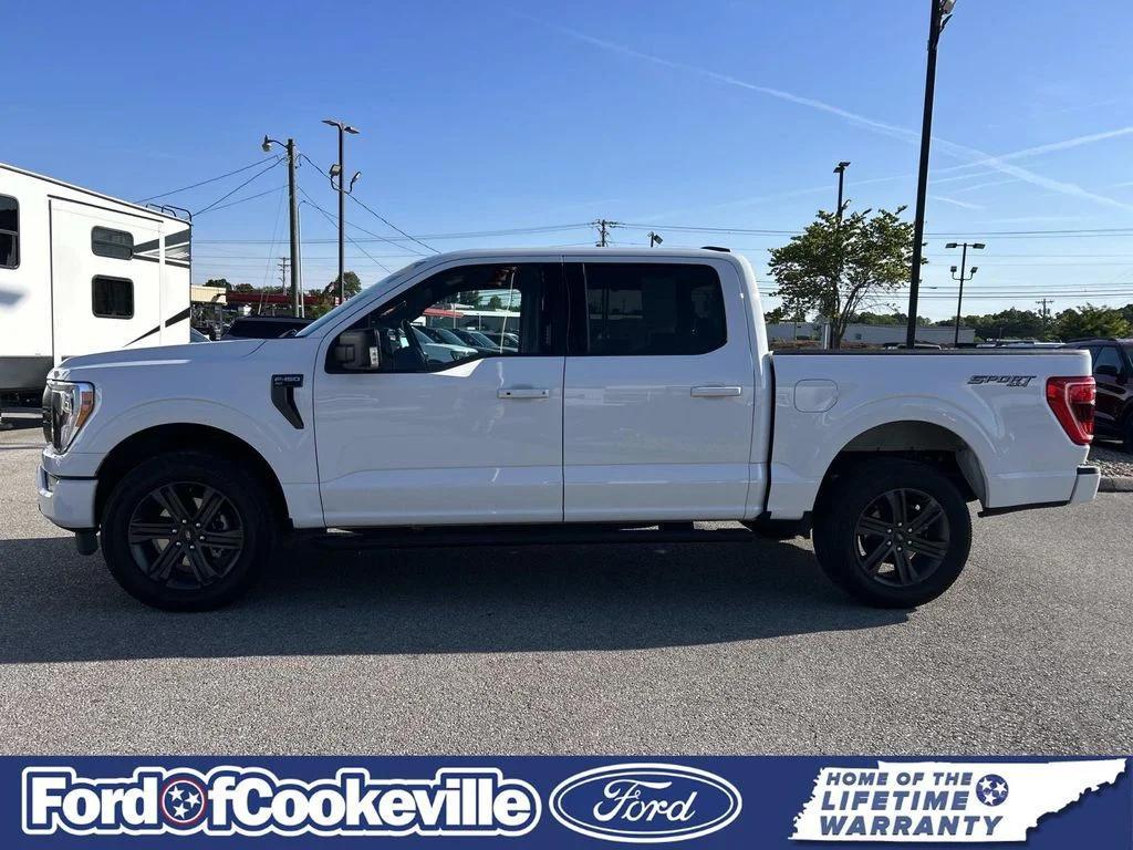 used 2023 Ford F-150 car, priced at $40,788