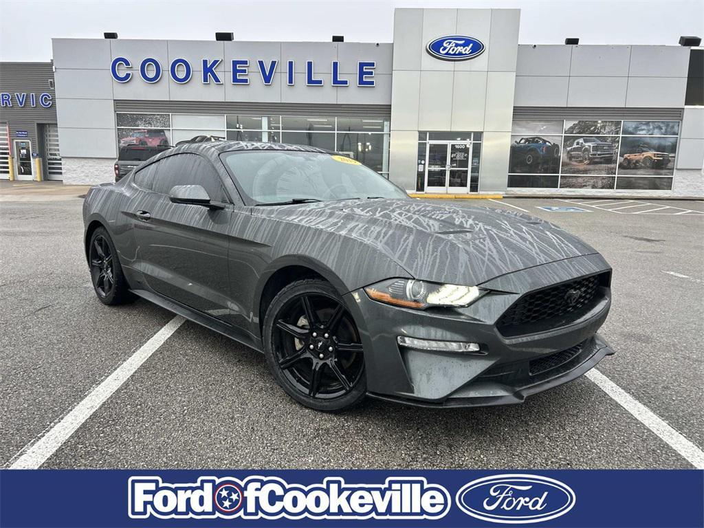used 2019 Ford Mustang car, priced at $17,981