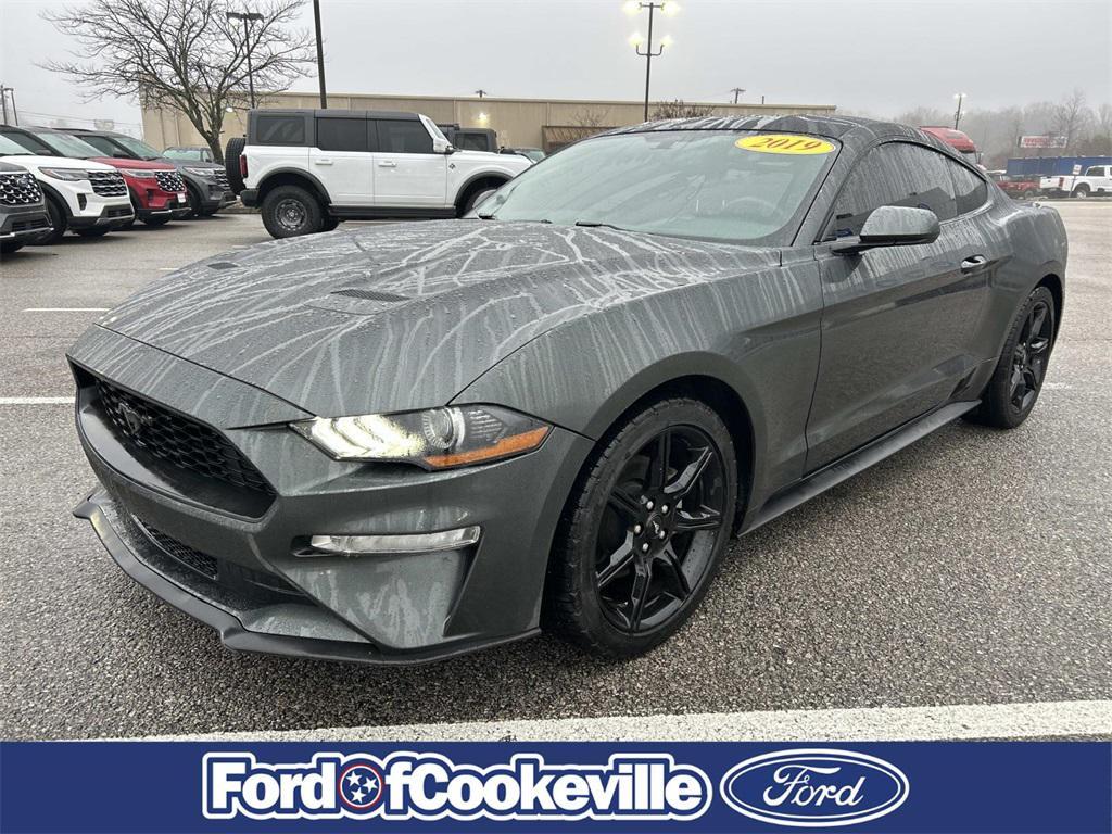 used 2019 Ford Mustang car, priced at $17,981