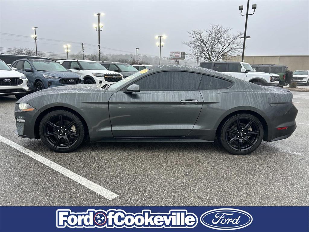 used 2019 Ford Mustang car, priced at $17,981