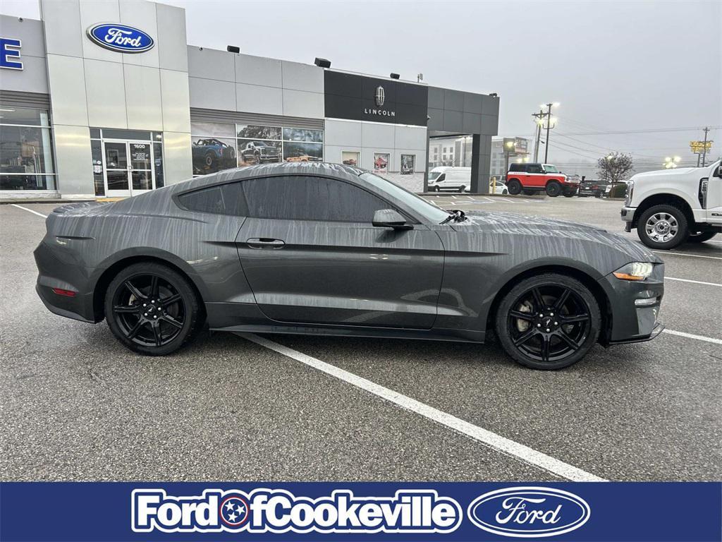 used 2019 Ford Mustang car, priced at $17,981