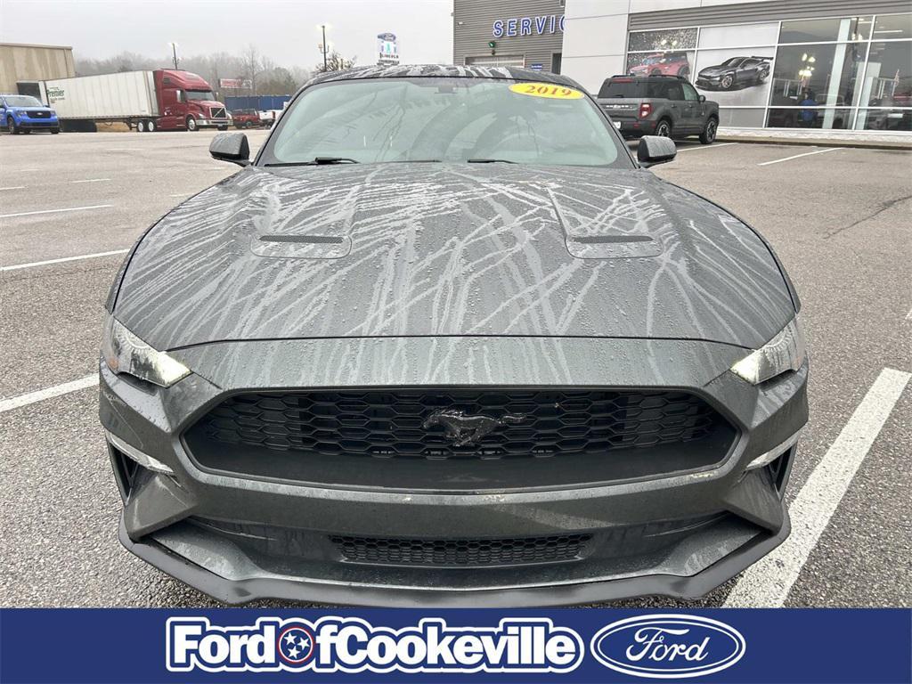 used 2019 Ford Mustang car, priced at $17,981
